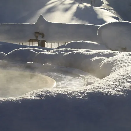 아파트호텔 Genusshotel Vermala Montafon 4*