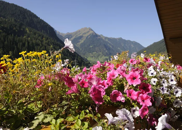 Genusshotel Vermala Montafon アパートホテル